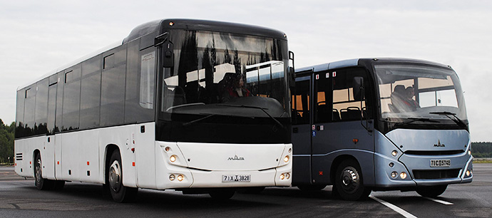 maz-buses.jpg